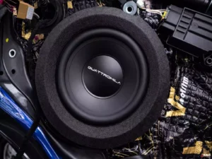 ESB Audio 4.165 w drzwiach